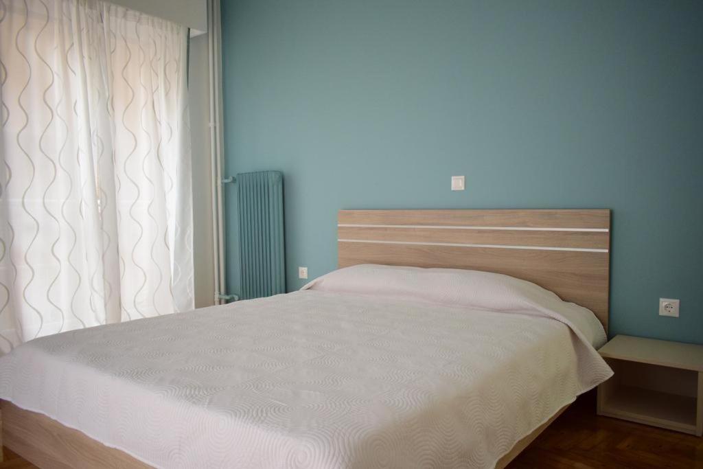 Beautiful Renovated Flat In Athens Lejlighed Eksteriør billede